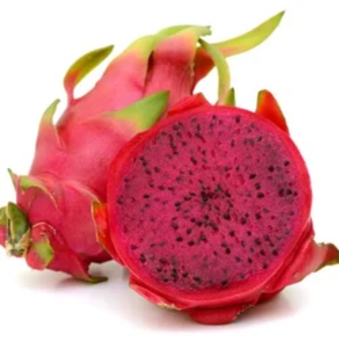 Red Yellow White Dragon Fruit Plant Stockist Dubai